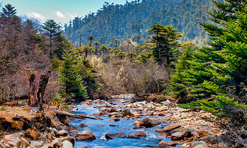 Jigme Dorji National Park