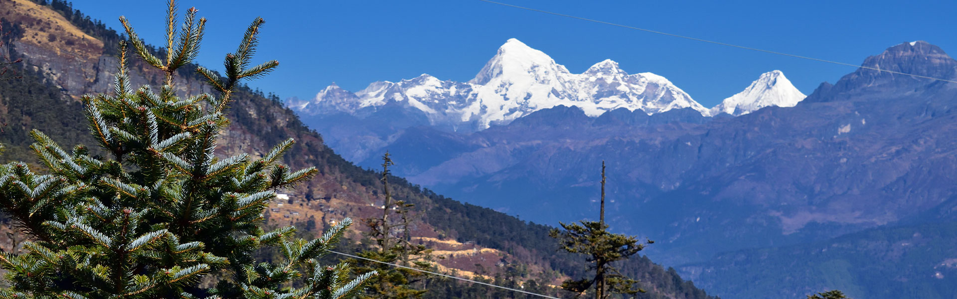 Jomolhari Trek